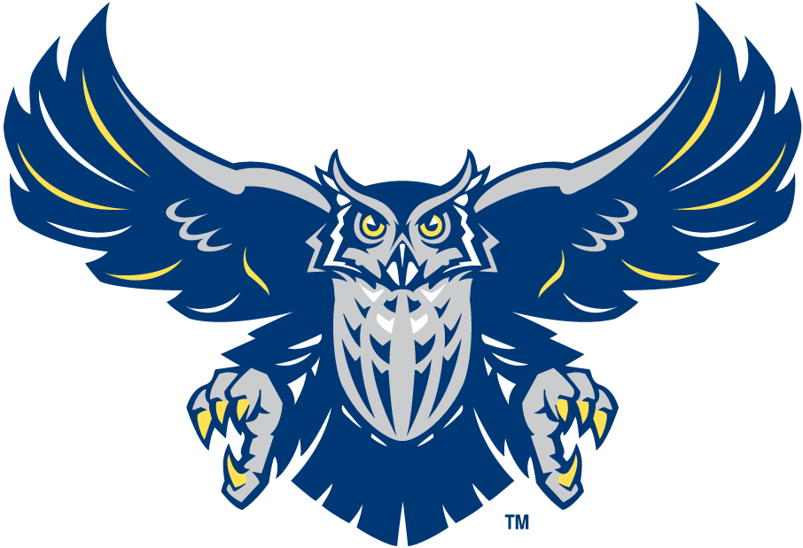 Rice Owls 2003-2009 Alternate Logo v3 diy fabric transfer